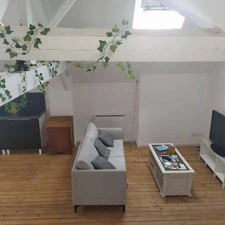 Le Loft De La Place Du Marché Appartement