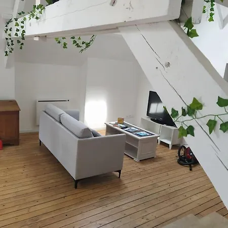 Le Loft De La Place Du Marche *