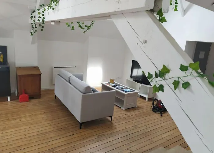 Le Loft De La Place Du Marche *